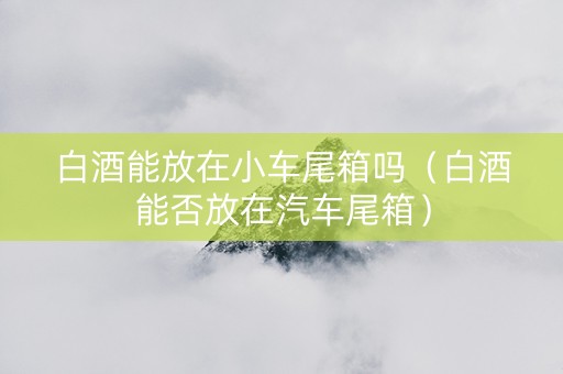 白酒能放在小车尾箱吗（白酒能否放在汽车尾箱）