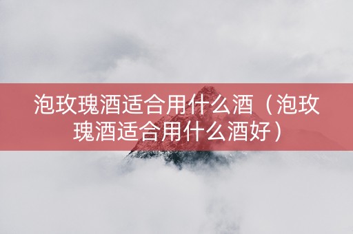 泡玫瑰酒适合用什么酒（泡玫瑰酒适合用什么酒好）
