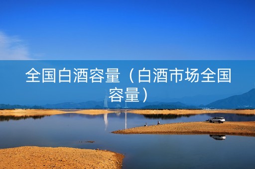 全国白酒容量（白酒市场全国容量）