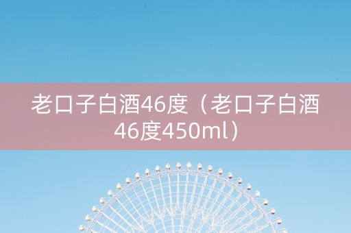 老口子白酒46度（老口子白酒46度450ml）