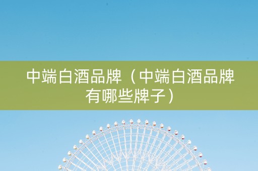 中端白酒品牌（中端白酒品牌有哪些牌子）