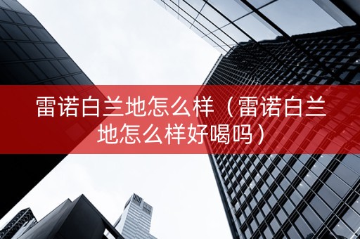 雷诺白兰地怎么样（雷诺白兰地怎么样好喝吗）