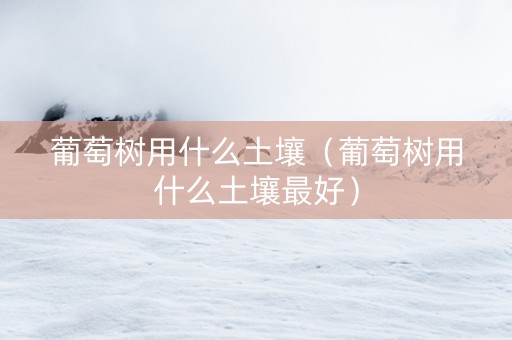 葡萄树用什么土壤（葡萄树用什么土壤最好）