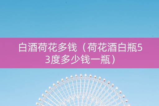白酒荷花多钱（荷花酒白瓶53度多少钱一瓶）