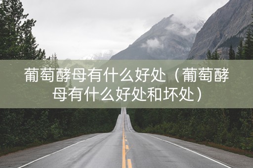 葡萄酵母有什么好处（葡萄酵母有什么好处和坏处）