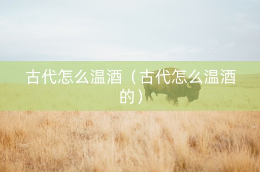 古代怎么温酒（古代怎么温酒的）