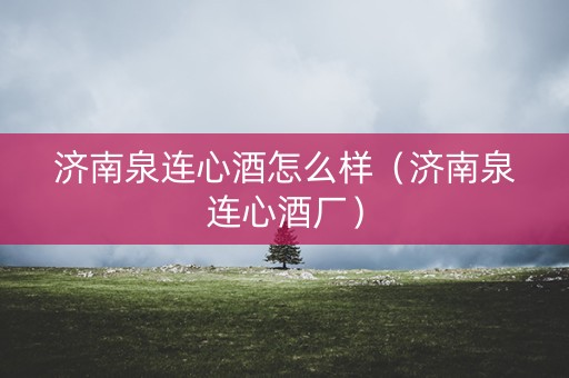 济南泉连心酒怎么样（济南泉连心酒厂）