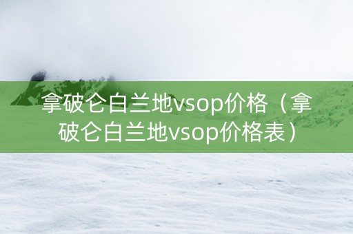 拿破仑白兰地vsop价格（拿破仑白兰地vsop价格表）