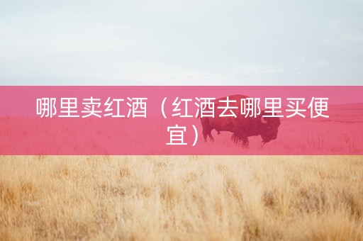 哪里卖红酒（红酒去哪里买便宜）