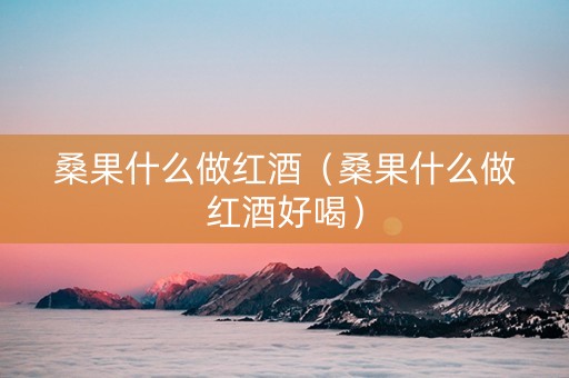 桑果什么做红酒（桑果什么做红酒好喝）