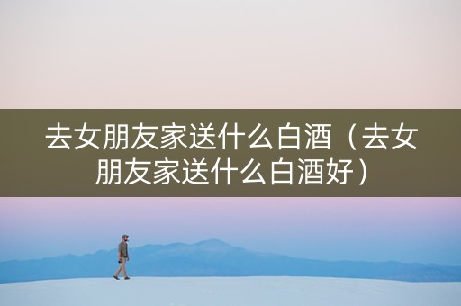 去女朋友家送什么白酒（去女朋友家送什么白酒好）