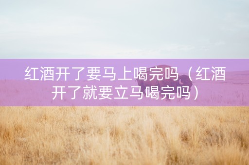 红酒开了要马上喝完吗（红酒开了就要立马喝完吗）