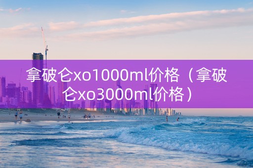 拿破仑xo1000ml价格（拿破仑xo3000ml价格）