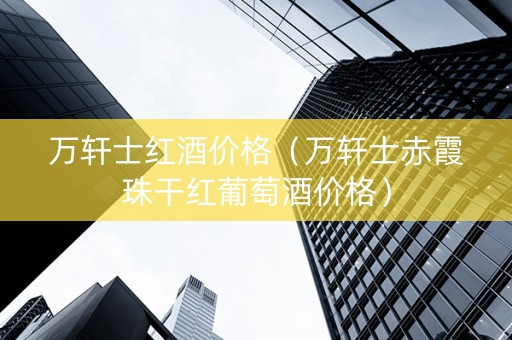 万轩士红酒价格（万轩士赤霞珠干红葡萄酒价格）
