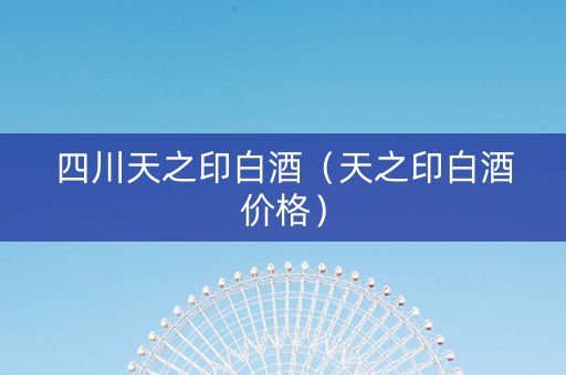 四川天之印白酒（天之印白酒价格）