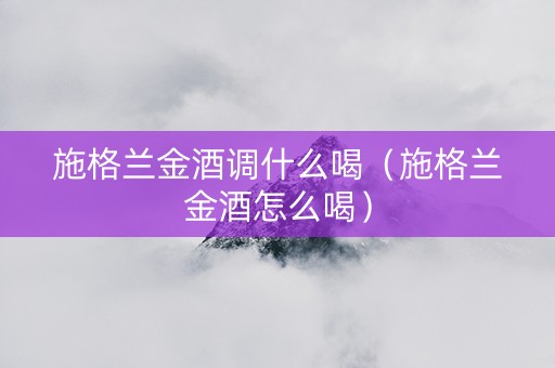 施格兰金酒调什么喝（施格兰金酒怎么喝）