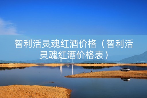 智利活灵魂红酒价格（智利活灵魂红酒价格表）