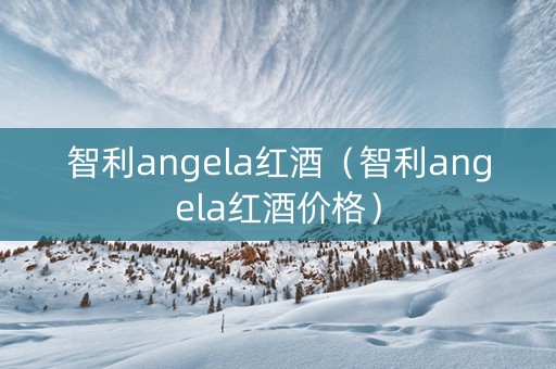 智利angela红酒（智利angela红酒价格）