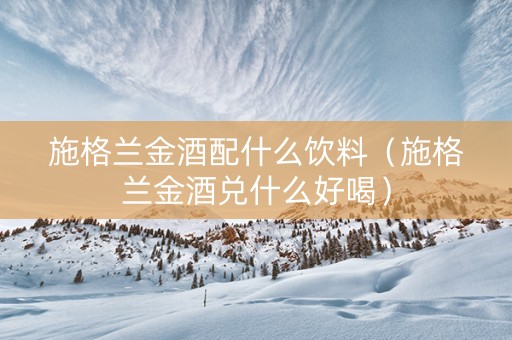 施格兰金酒配什么饮料（施格兰金酒兑什么好喝）