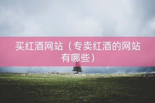 买红酒网站（专卖红酒的网站有哪些）