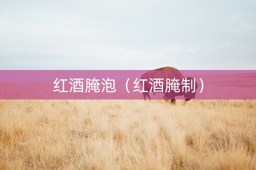 红酒腌泡（红酒腌制）