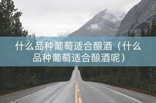 什么品种葡萄适合酿酒（什么品种葡萄适合酿酒呢）