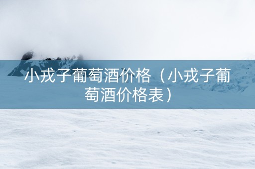 小戎子葡萄酒价格（小戎子葡萄酒价格表）