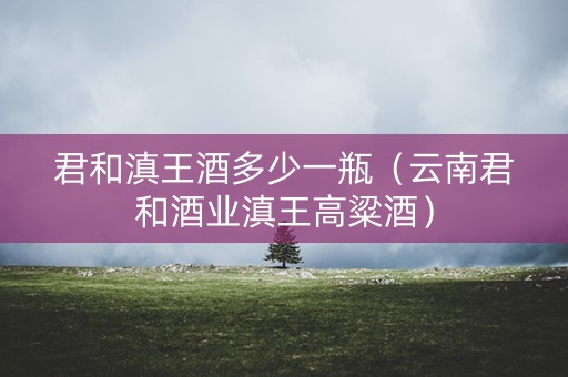 君和滇王酒多少一瓶（云南君和酒业滇王高粱酒）