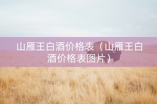 山雁王白酒价格表（山雁王白酒价格表图片）