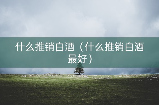 什么推销白酒（什么推销白酒最好）