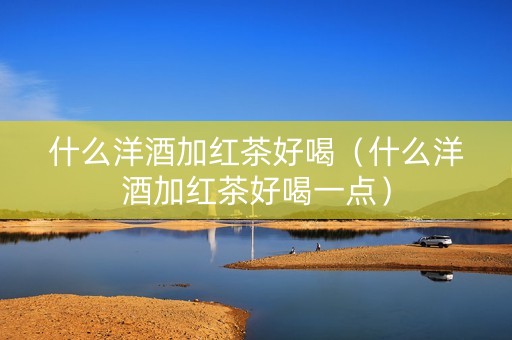 什么洋酒加红茶好喝（什么洋酒加红茶好喝一点）
