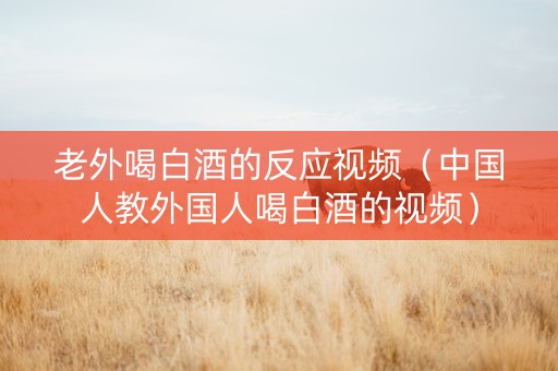 老外喝白酒的反应视频（中国人教外国人喝白酒的视频）
