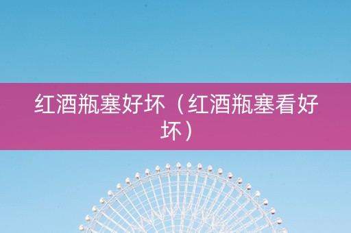 红酒瓶塞好坏（红酒瓶塞看好坏）