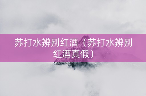 苏打水辨别红酒（苏打水辨别红酒真假）