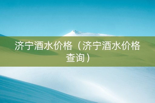 济宁酒水价格（济宁酒水价格查询）