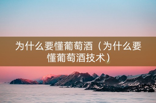 为什么要懂葡萄酒（为什么要懂葡萄酒技术）