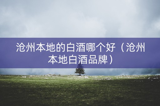 沧州本地的白酒哪个好（沧州本地白酒品牌）