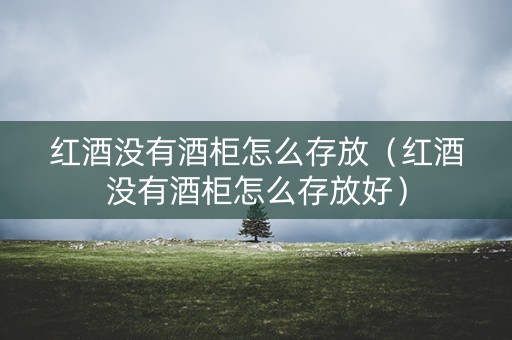 红酒没有酒柜怎么存放（红酒没有酒柜怎么存放好）