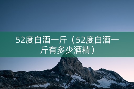 52度白酒一斤（52度白酒一斤有多少酒精）