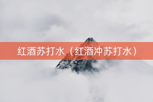 红酒苏打水（红酒冲苏打水）