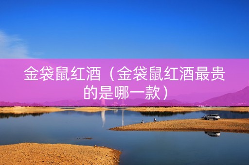 金袋鼠红酒（金袋鼠红酒最贵的是哪一款）