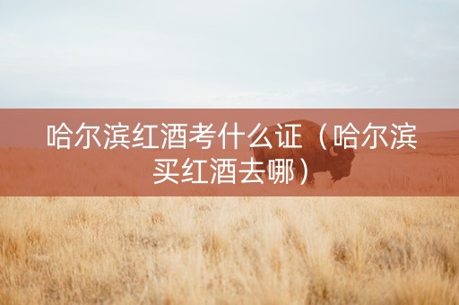 哈尔滨红酒考什么证（哈尔滨买红酒去哪）