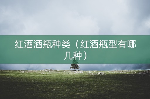 红酒酒瓶种类（红酒瓶型有哪几种）