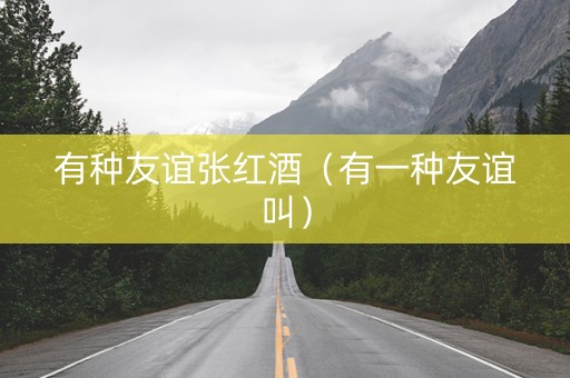 有种友谊张红酒（有一种友谊叫）