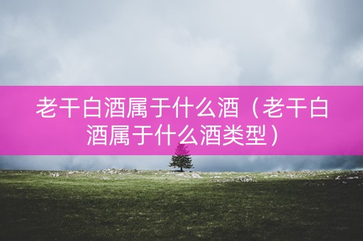老干白酒属于什么酒（老干白酒属于什么酒类型）