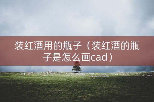 装红酒用的瓶子（装红酒的瓶子是怎么画cad）