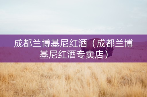 成都兰博基尼红酒（成都兰博基尼红酒专卖店）