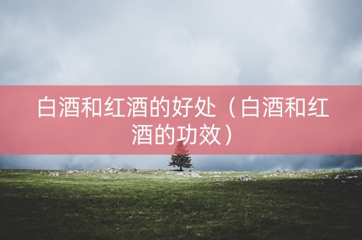 白酒和红酒的好处（白酒和红酒的功效）