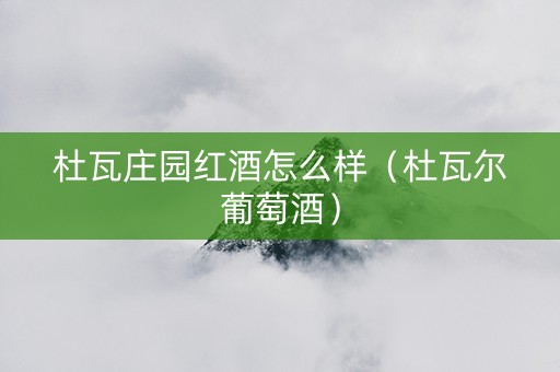 杜瓦庄园红酒怎么样（杜瓦尔葡萄酒）