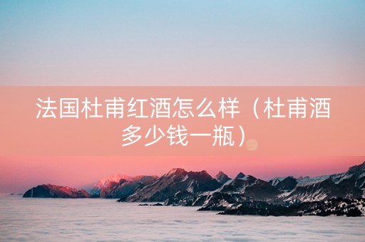 法国杜甫红酒怎么样（杜甫酒多少钱一瓶）